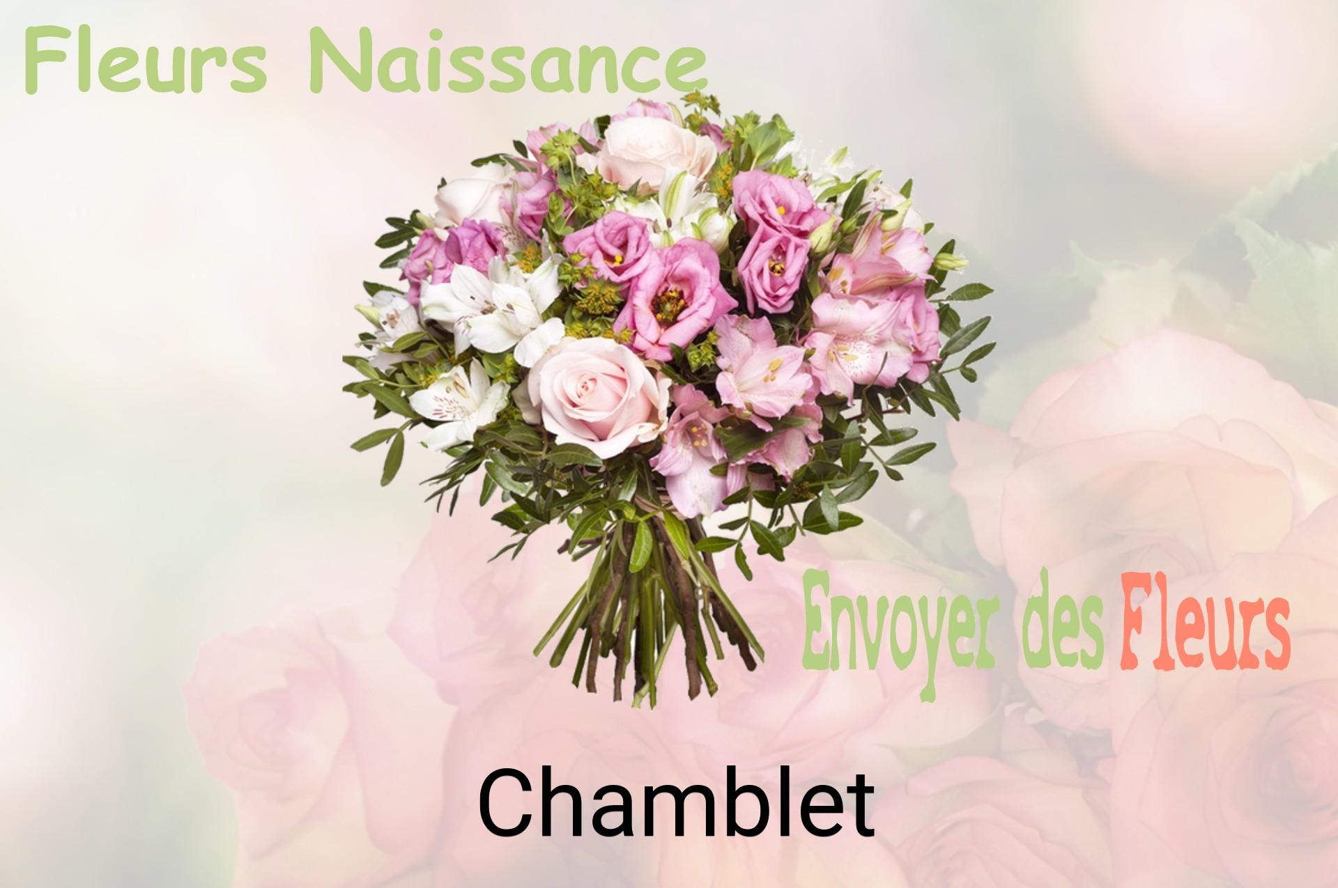 Bouquet de fleurs de naissance livré à Chamblet